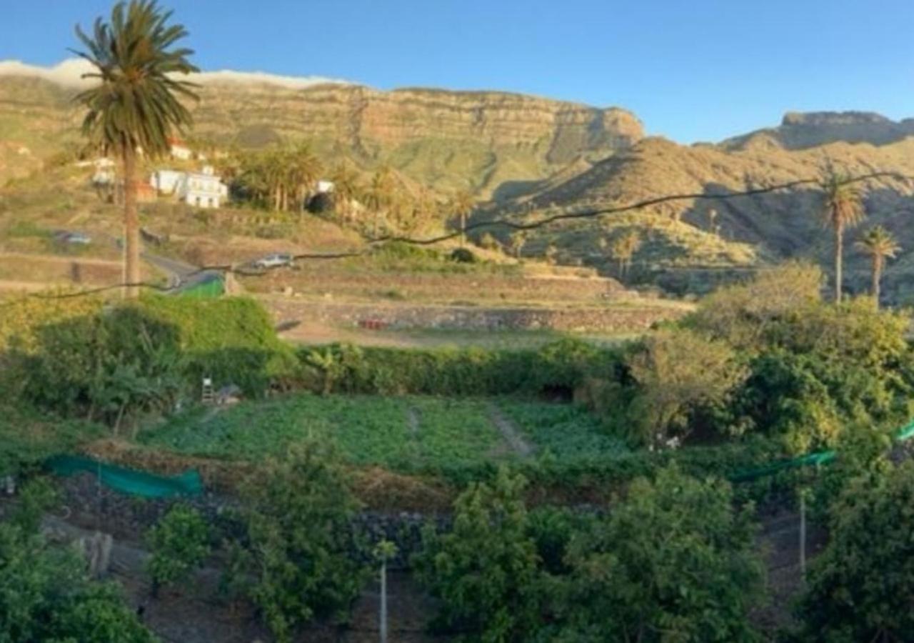 Casa Maria - Finca Medina Alojera 外观 照片