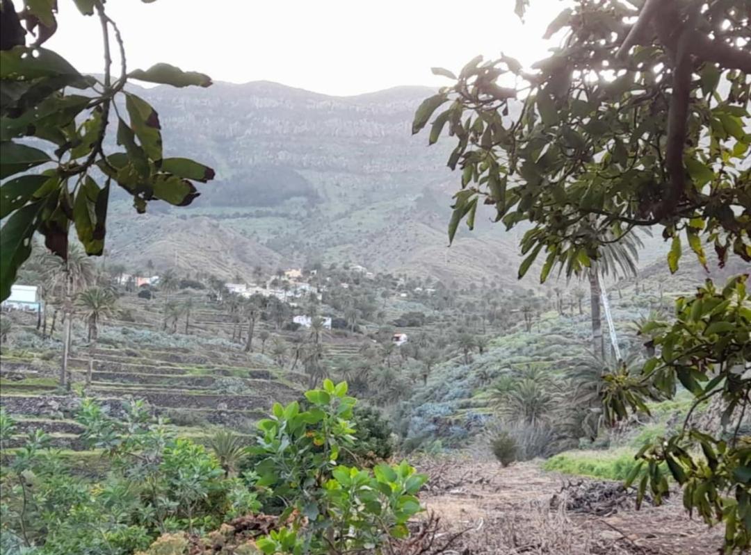 Casa Maria - Finca Medina Alojera 外观 照片